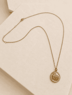Aletta disc waterproof necklace-14k gold plated stainless steel.
